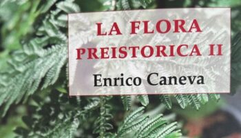 LA FLORA PREISTORICA II di Enrico Caneva