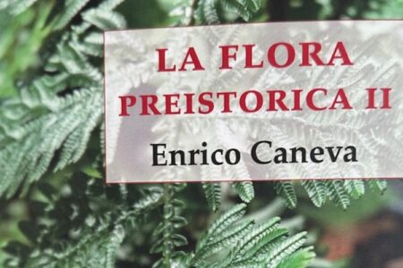 LA FLORA PREISTORICA II di Enrico Caneva