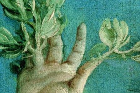 PIANTE, NOI E LORO di Paola Bonfante