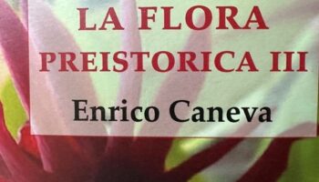 LA FLORA PREISTORICA III di Enrico Caneva