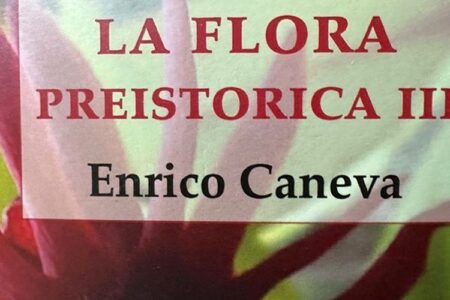 LA FLORA PREISTORICA III di Enrico Caneva