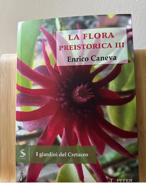 caneva_flora_preistorica